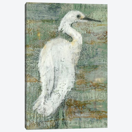Textured Heron II Canvas Print #JGO340} by Jennifer Goldberger Canvas Artwork