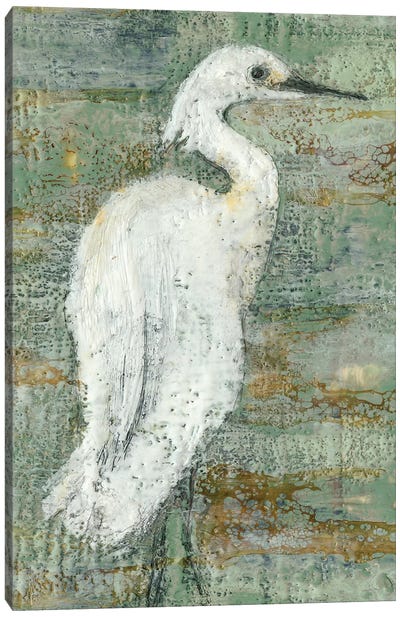 Textured Heron II Canvas Art Print - Bird Art