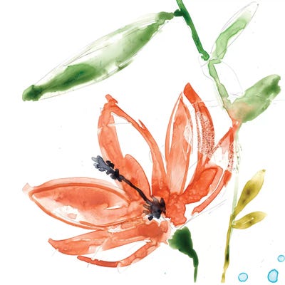 Tropical Display IV by Jennifer Goldberger art print