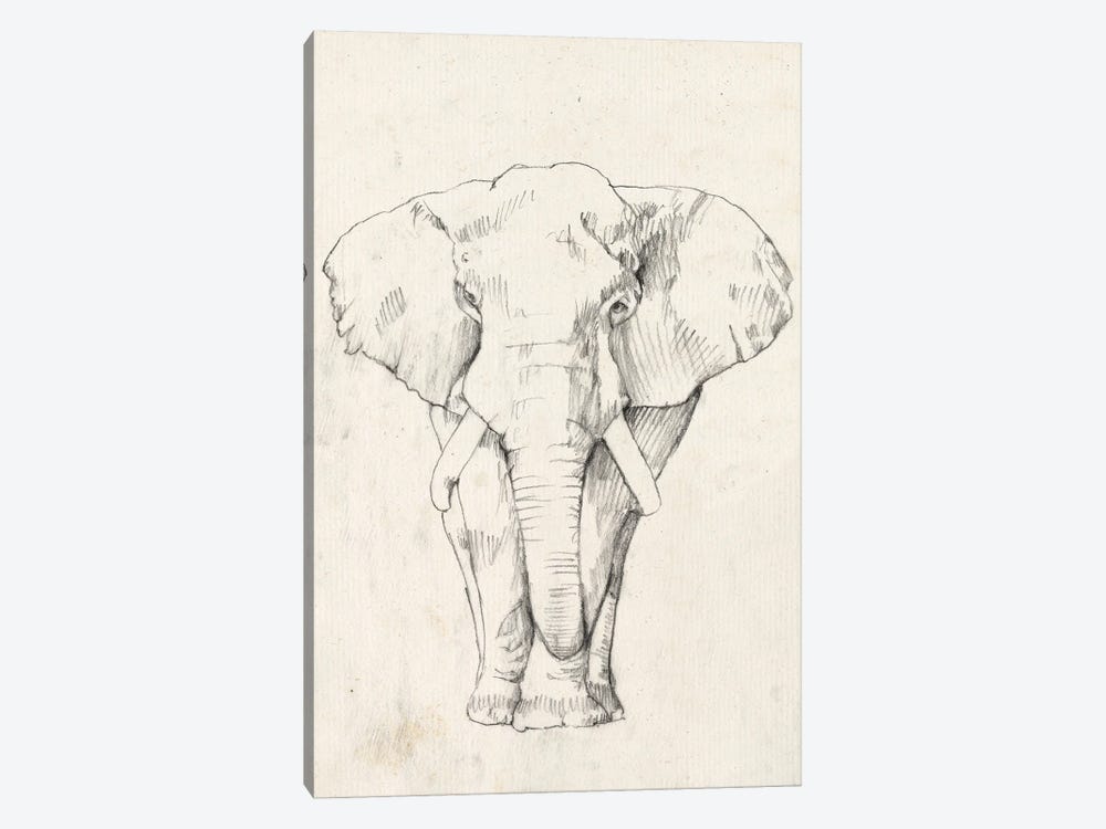 Elephant Portrait I 1-piece Art Print