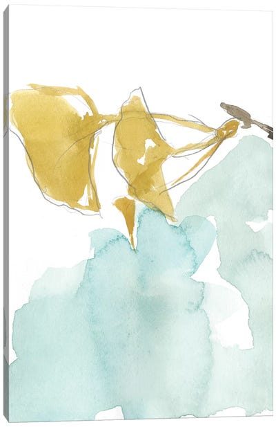 Ginkgo On Dusty Teal I Canvas Art Print - Jennifer Goldberger