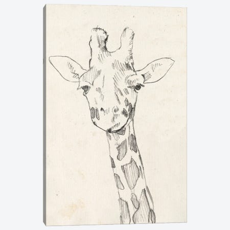 Giraffe Portrait II Canvas Print #JGO394} by Jennifer Goldberger Canvas Artwork