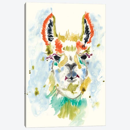 Hi-fi Llama I Canvas Print #JGO395} by Jennifer Goldberger Canvas Wall Art