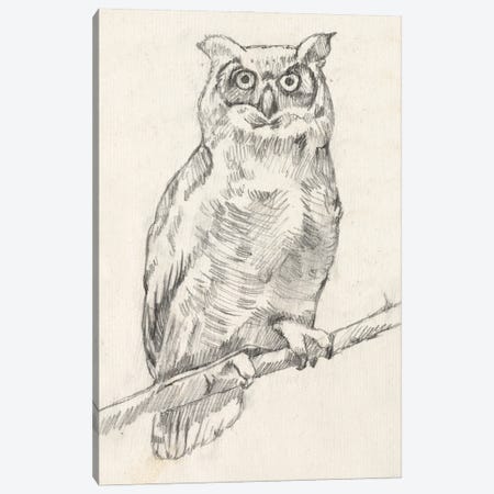 Owl Portrait I Canvas Print #JGO416} by Jennifer Goldberger Canvas Art Print