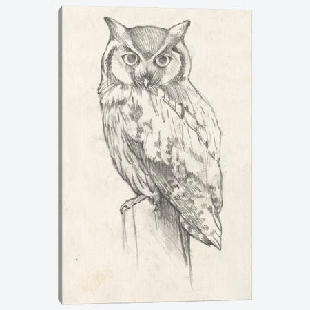 Owl Portrait II Canvas Print #JGO417} by Jennifer Goldberger Canvas Print