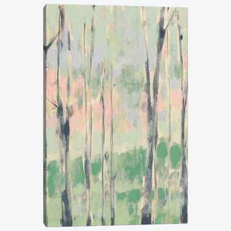 Pastels In The Trees I Canvas Print #JGO422} by Jennifer Goldberger Canvas Art Print