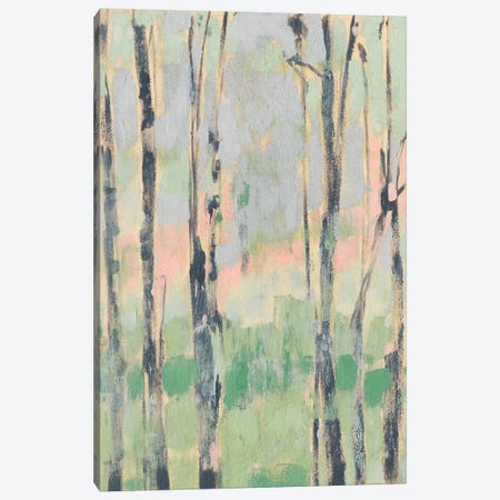 Pastels In The Trees II Canvas Print #JGO423} by Jennifer Goldberger Canvas Art Print
