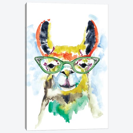 Smarty-Pants Llama Canvas Print #JGO441} by Jennifer Goldberger Canvas Print