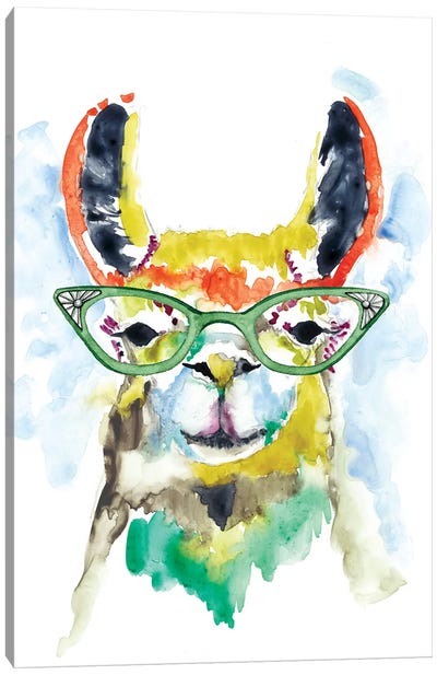 Smarty-Pants Llama Canvas Art Print - Jennifer Goldberger
