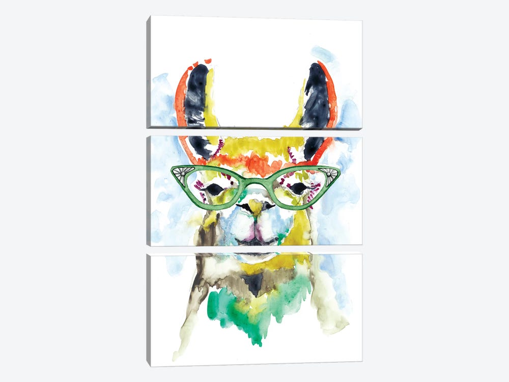 Smarty-Pants Llama by Jennifer Goldberger 3-piece Canvas Wall Art