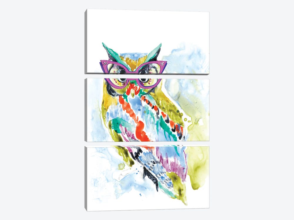 Smarty-Pants Owl by Jennifer Goldberger 3-piece Canvas Art Print