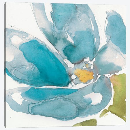 Flower Splash I Canvas Print #JGO46} by Jennifer Goldberger Art Print