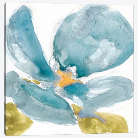 Flower Splash II Canvas Print #JGO47} by Jennifer Goldberger Art Print