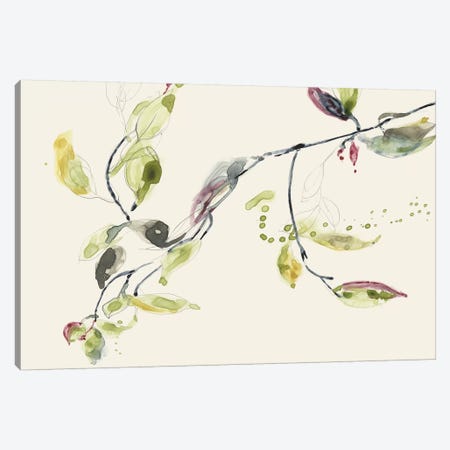 Leaf Branch I Canvas Print #JGO502} by Jennifer Goldberger Canvas Art
