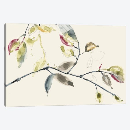 Leaf Branch II Canvas Print #JGO503} by Jennifer Goldberger Canvas Art