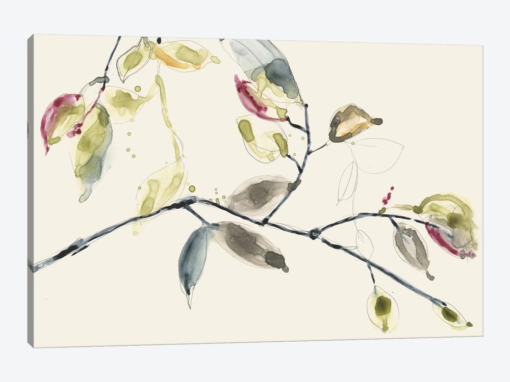 Leaf Branch II by Jennifer Goldberger 1-piece Canvas Print