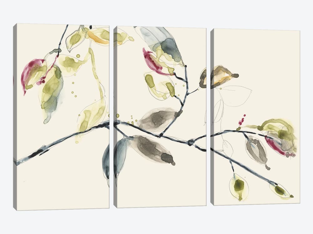 Leaf Branch II by Jennifer Goldberger 3-piece Canvas Print