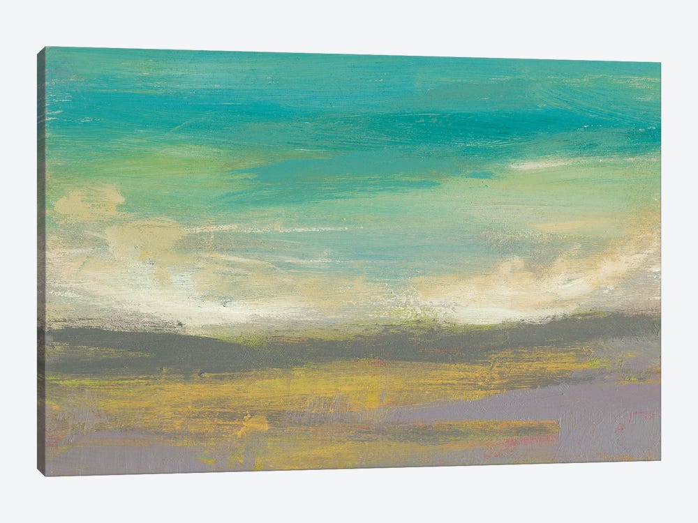 Sunset Study II by Jennifer Goldberger 1-piece Canvas Art Print