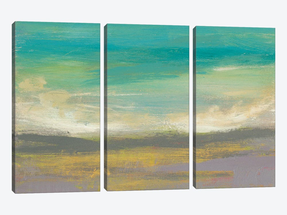 Sunset Study II by Jennifer Goldberger 3-piece Canvas Print