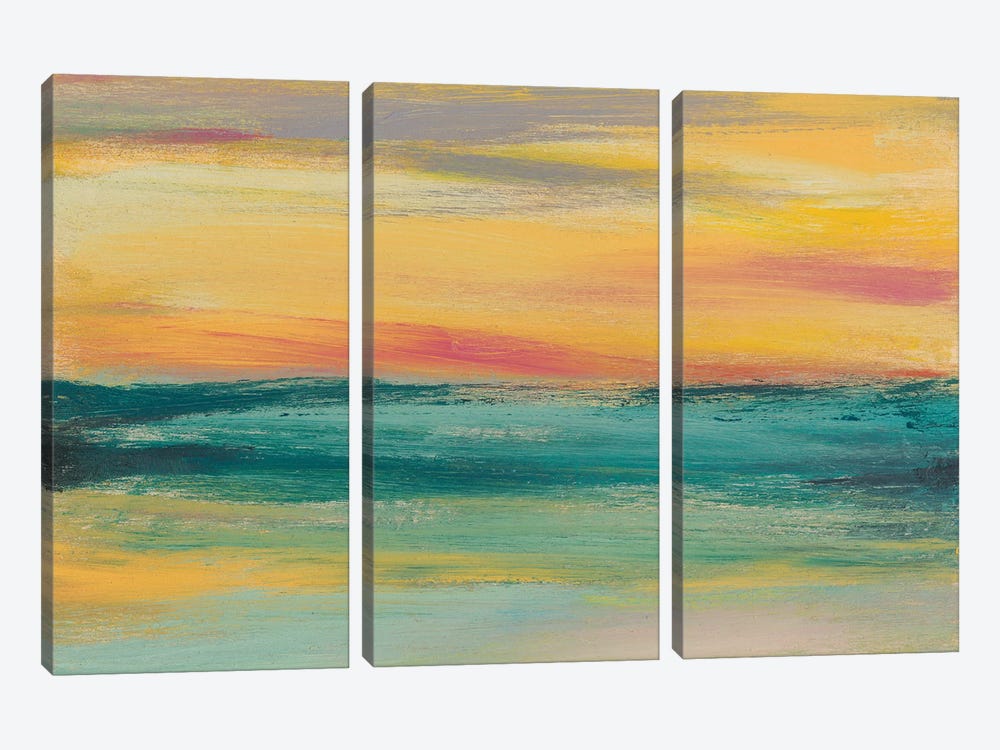 Sunset Study III by Jennifer Goldberger 3-piece Canvas Wall Art