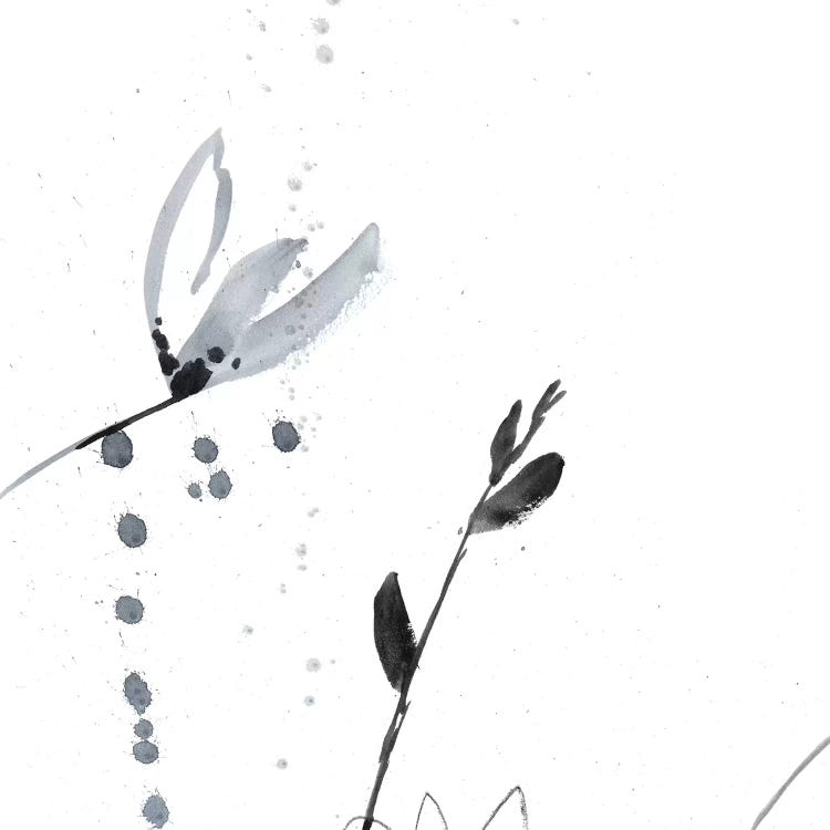 Blush Flower Splash II by Jennifer Goldberger wall art