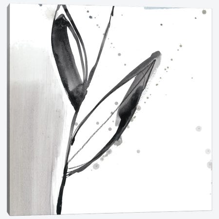 Blush Flower Splash IX Canvas Print #JGO639} by Jennifer Goldberger Canvas Wall Art