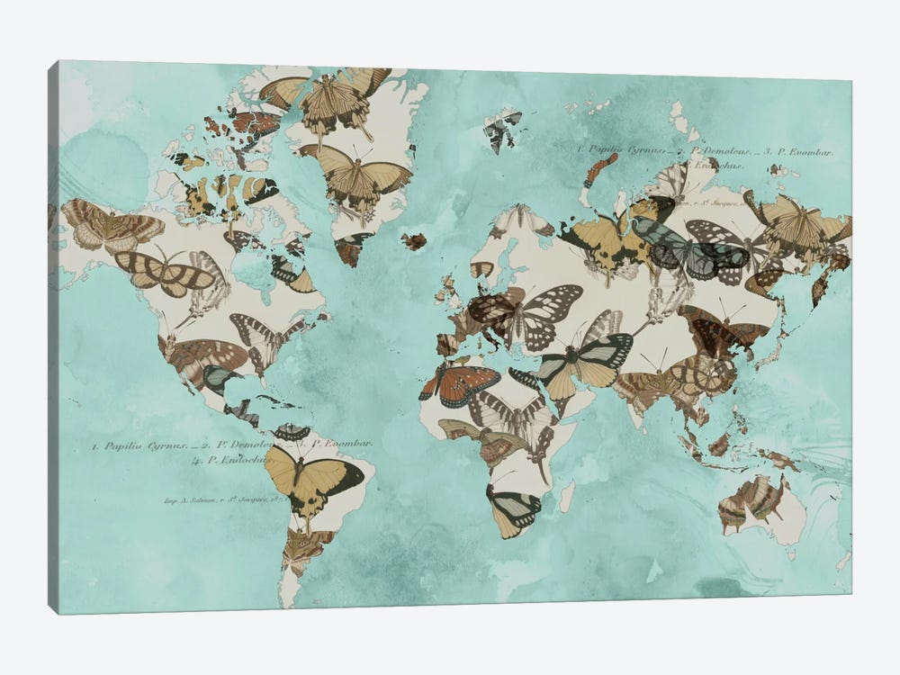 Migration Of Butterflies by Jennifer Goldberger 1-piece Canvas Artwork
