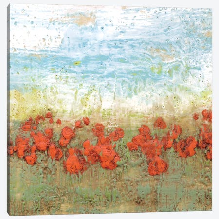 Coral Poppies I Canvas Print #JGO6} by Jennifer Goldberger Canvas Wall Art