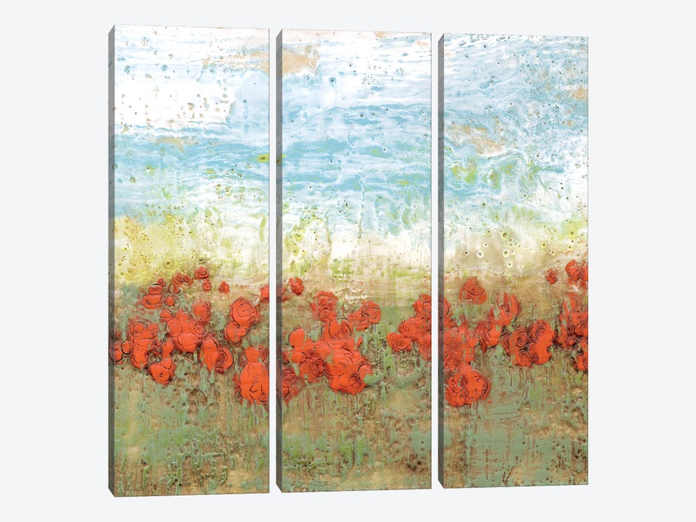 Coral Poppies I by Jennifer Goldberger 3-piece Canvas Art
