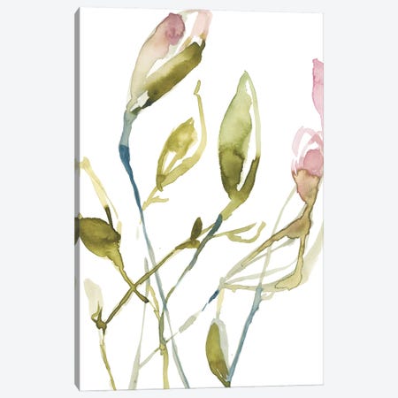 Blooming Stems I Canvas Print #JGO718} by Jennifer Goldberger Canvas Art Print