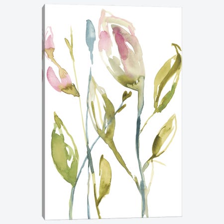 Blooming Stems II Canvas Print #JGO719} by Jennifer Goldberger Canvas Art Print