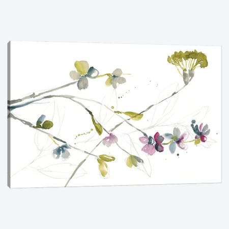 Branches & Blossoms I Canvas Print #JGO728} by Jennifer Goldberger Canvas Art