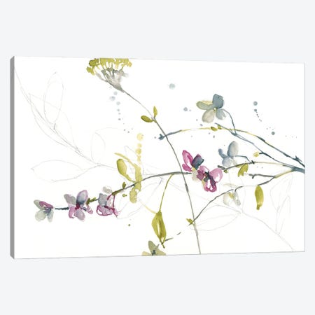 Branches & Blossoms II Canvas Print #JGO729} by Jennifer Goldberger Canvas Artwork