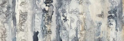 Neutral Strata II by Jennifer Goldberger framed canvas print