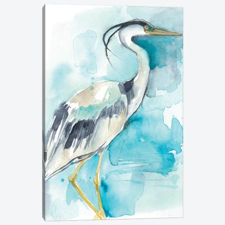 Heron Splash I Canvas Print #JGO759} by Jennifer Goldberger Canvas Art Print
