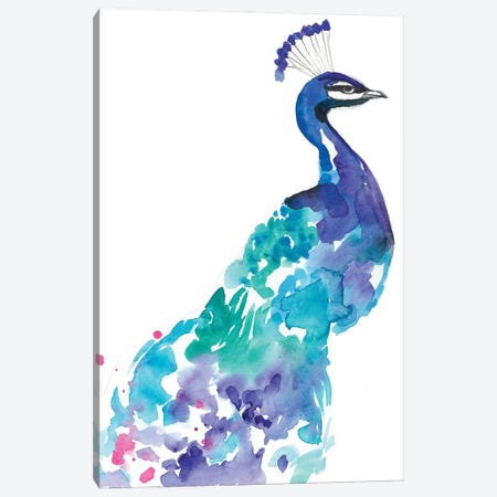 Peacock Splash I Canvas Print #JGO781} by Jennifer Goldberger Canvas Wall Art