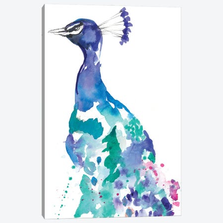 Peacock Splash II Canvas Print #JGO782} by Jennifer Goldberger Canvas Artwork