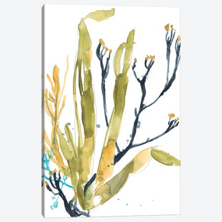 Reef Illusion II Canvas Print #JGO784} by Jennifer Goldberger Canvas Art Print