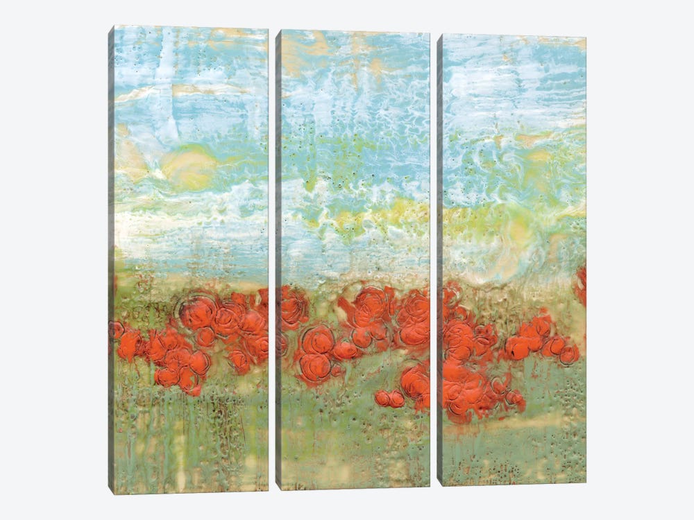 Coral Poppies II by Jennifer Goldberger 3-piece Canvas Art Print