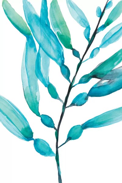 Watercolor Kelp I by Jennifer Goldberger canvas print