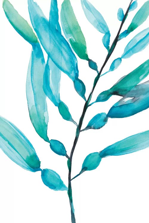 Watercolor Kelp I