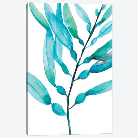 Watercolor Kelp I Canvas Print #JGO815} by Jennifer Goldberger Canvas Print