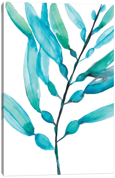 Watercolor Kelp I Canvas Art Print - Jennifer Goldberger