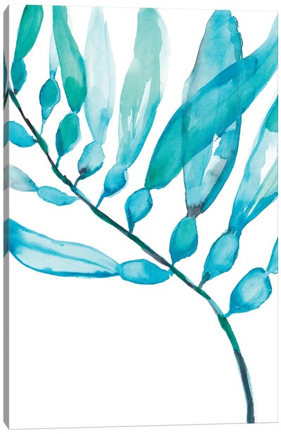 Watercolor Kelp II Canvas Art Print - Jennifer Goldberger