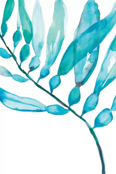 Tropical Leaves: Watercolor Kelp II by Jennifer Goldberger