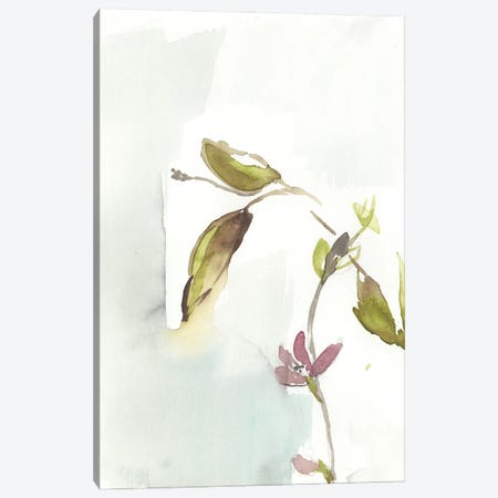 First Blooms I Canvas Print #JGO821} by Jennifer Goldberger Canvas Print