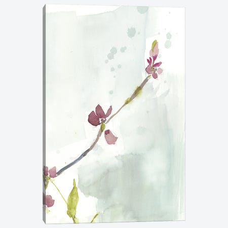 First Blooms III Canvas Print #JGO823} by Jennifer Goldberger Canvas Print