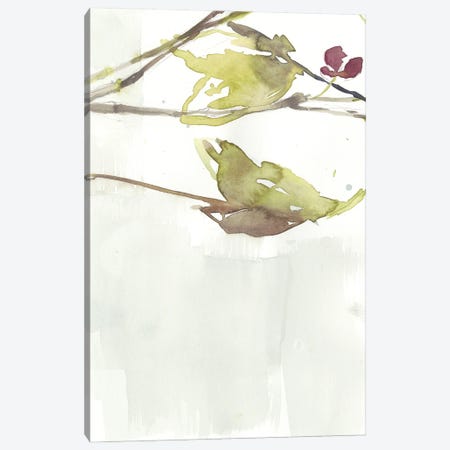 First Blooms V Canvas Print #JGO825} by Jennifer Goldberger Canvas Art