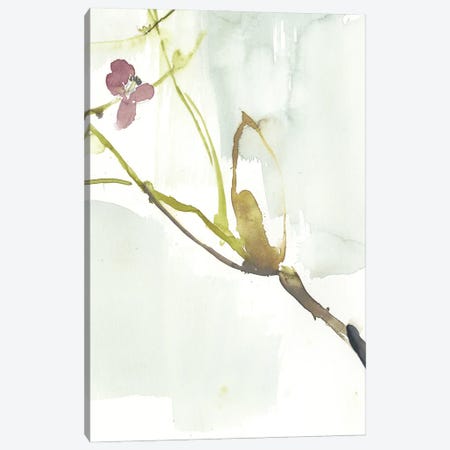 First Blooms VI Canvas Print #JGO826} by Jennifer Goldberger Canvas Wall Art