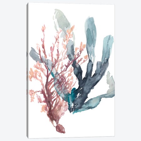 Sweet Seaweed I Canvas Print #JGO837} by Jennifer Goldberger Canvas Print